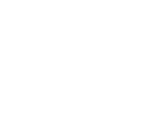 Merlin Law Group Logo2 White